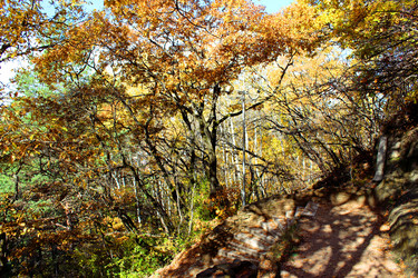 Similar image 22290446