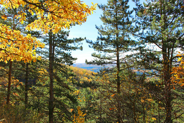 Similar image 22290448