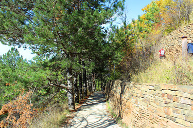 Similar image 22290451