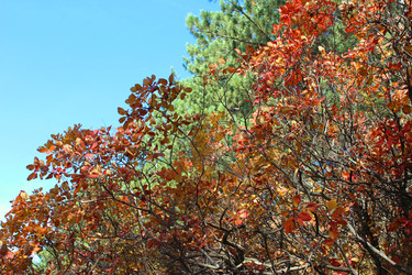 Similar image 22290455