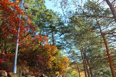 Similar image 22290456