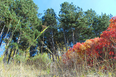 Similar image 22290459