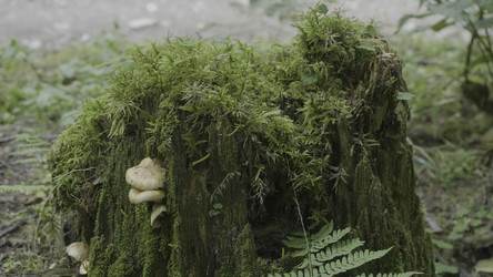 Similar image 22330903