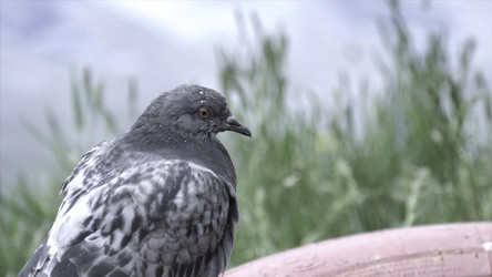 Similar image 22293587