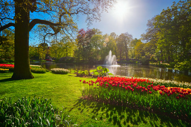 Similar image 22308258