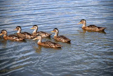 Similar image 22291557