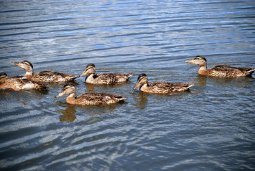 Similar image 22291558