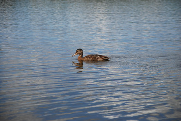 Similar image 22291560