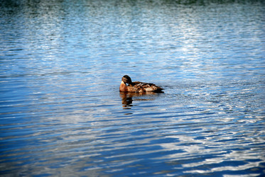 Similar image 22291561