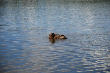 Similar image 22291562