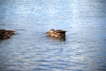 Similar image 22291563