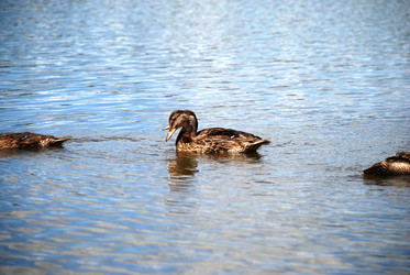 Similar image 22291564