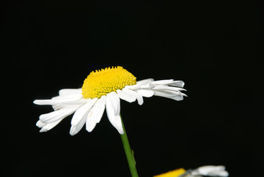 Similar image 22291566