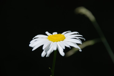 Similar image 22291567