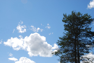 Similar image 22291569