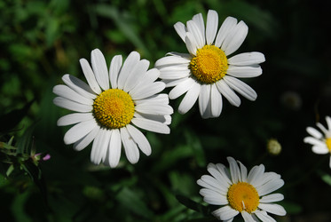 Similar image 22291570