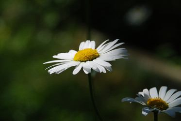 Similar image 22291571