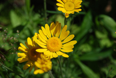 Similar image 22291572