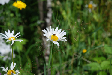 Similar image 22291574