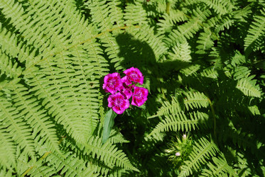 Similar image 22291575