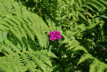 Similar image 22291576