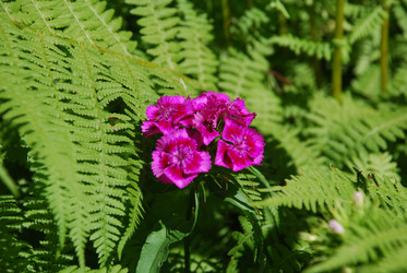 Similar image 22291577