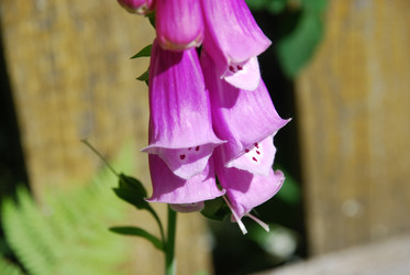 Similar image 22291578