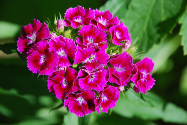 Similar image 22291579