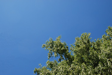 Similar image 22291581