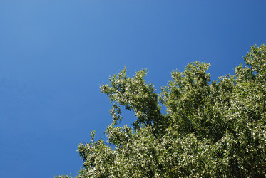 Similar image 22291582