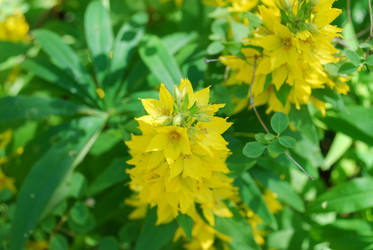 Similar image 22291583