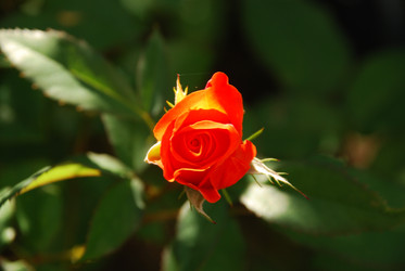 Similar image 22291584