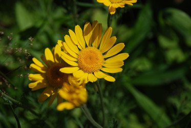 Similar image 22291585