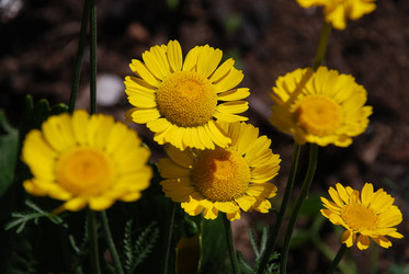 Similar image 22291586