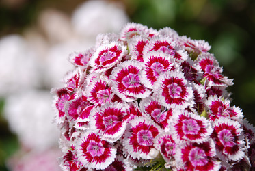 Similar image 22291587