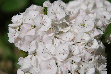 Similar image 22291588