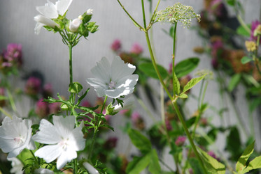 Similar image 22291589