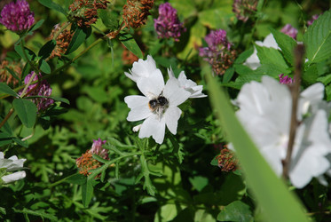 Similar image 22291590