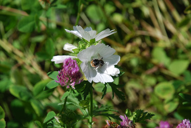 Similar image 22291591