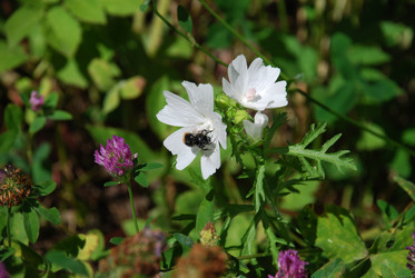 Similar image 22291592