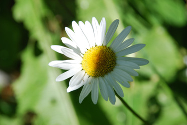 Similar image 22291593