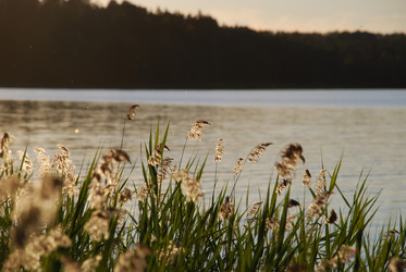 Similar image 22291594