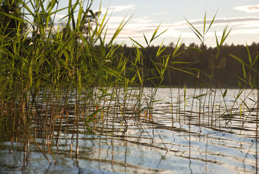 Similar image 22291596