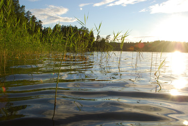 Similar image 22291597