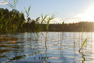 Similar image 22291599