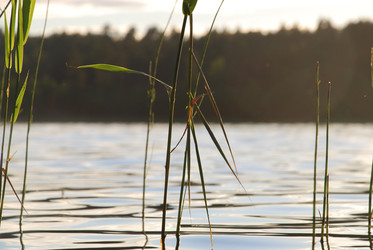 Similar image 22291601