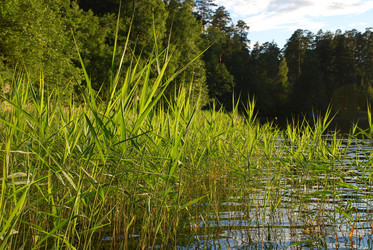 Similar image 22291602