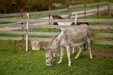 Similar image 22303186