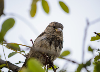 Similar image 22290073