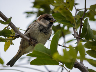 Similar image 22290074